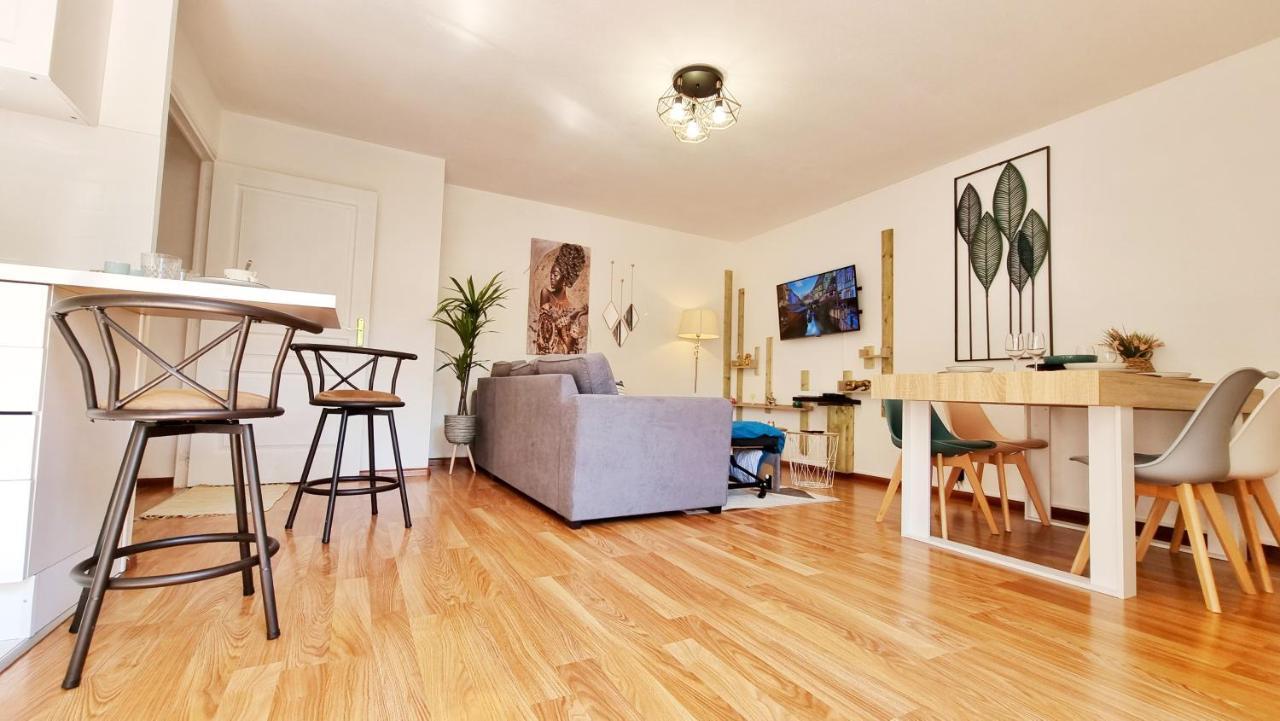 Le Stan - Centre - Parking - Exterieur - Fibre - Relax Bnb Colmar Bagian luar foto